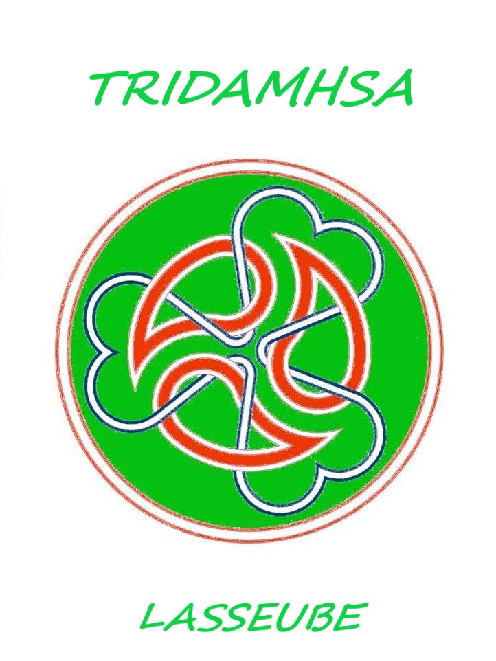 TRIDAMHSA